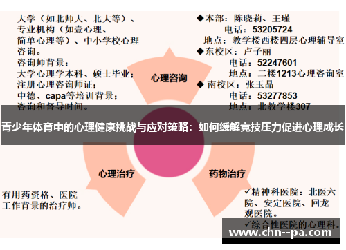 青少年体育中的心理健康挑战与应对策略：如何缓解竞技压力促进心理成长