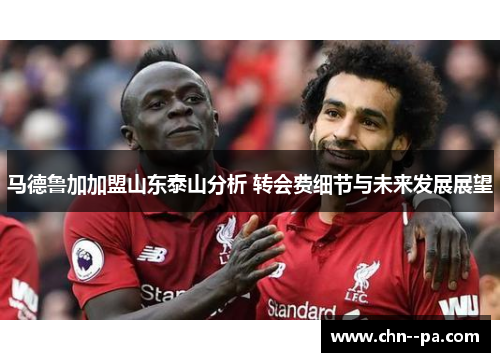 马德鲁加加盟山东泰山分析 转会费细节与未来发展展望