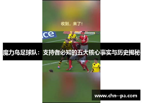 魔力鸟足球队:支持者必知的五大核心事实与历史揭秘 魔力鸟足球队:支持者必知的五大核心事实与历史揭秘