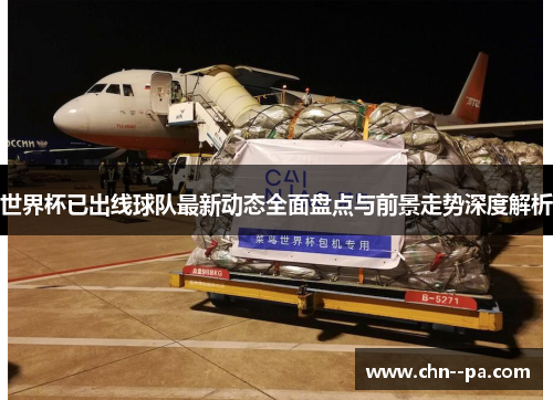 世界杯已出线球队最新动态全面盘点与前景走势深度解析