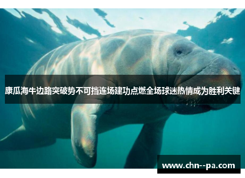 康瓜海牛边路突破势不可挡连场建功点燃全场球迷热情成为胜利关键