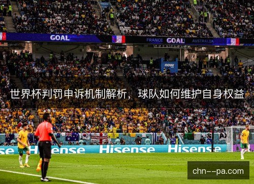 世界杯判罚申诉机制解析，球队如何维护自身权益